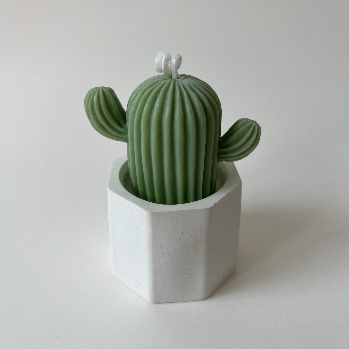Vela Cactus