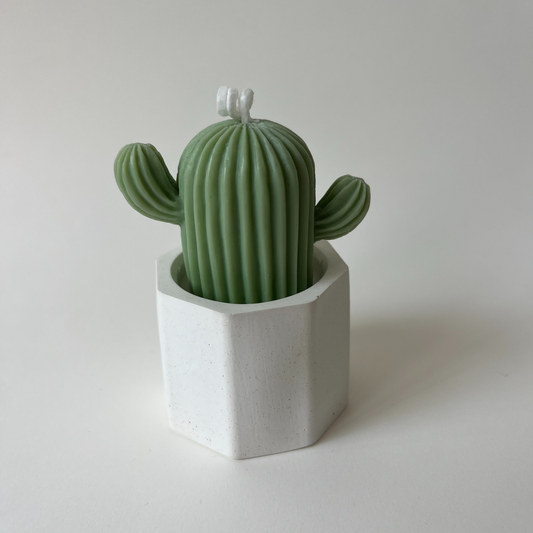 Vela Cactus